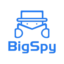 bigspy logo